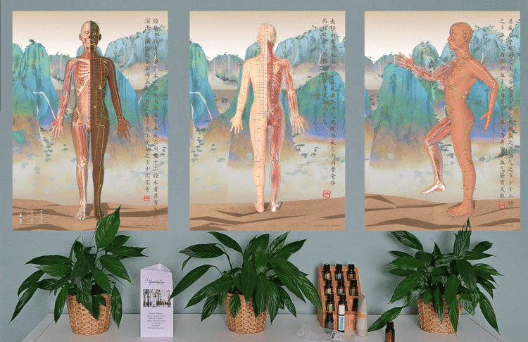 Acupuncture charts