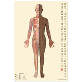 2db23d97-53e1-4910-8122-ac36341f655f