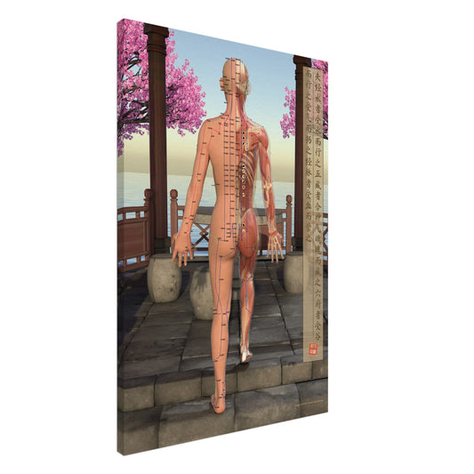 Acupuncture chart Canvas Pavilion Female Back LBe