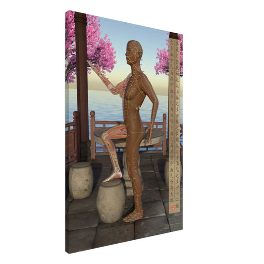 Acupuncture chart Canvas Pavilion Female Side DBr