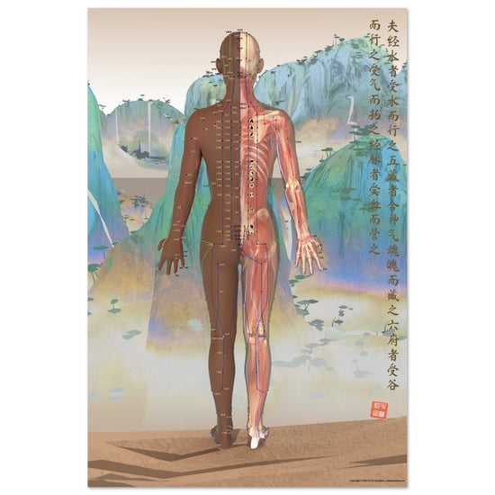 Acupuncture chart poster Chinese Mountains Female Back DBr