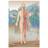 Acupuncture chart poster Chinese Mountains Female Back LBe