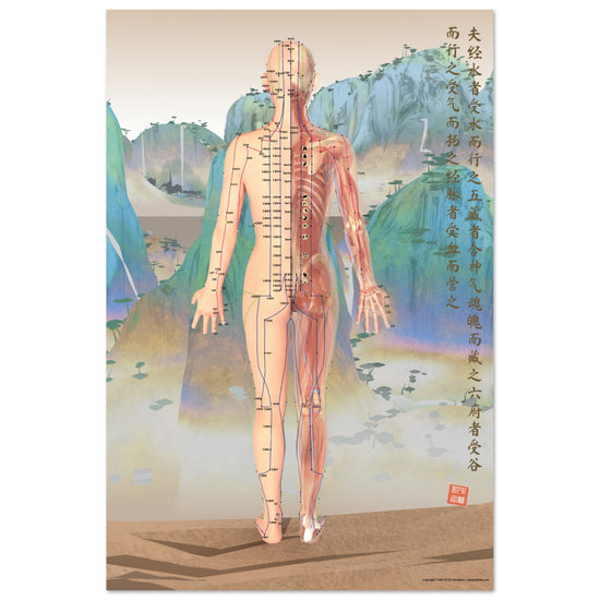 Acupuncture chart poster Chinese Mountains Female Back LBe