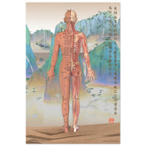 Acupuncture chart poster Chinese Mountains Female Back LBr