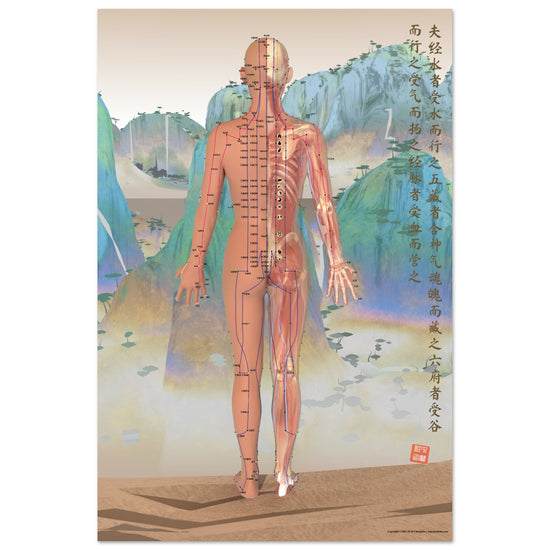 Acupuncture chart poster Chinese Mountains Female Back LBr