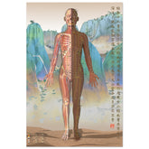 Acupuncture chart poster Chinese Mountains Female Front DBr