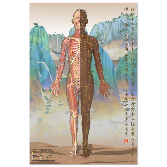 Acupuncture chart poster Chinese Mountains Female Front DBr