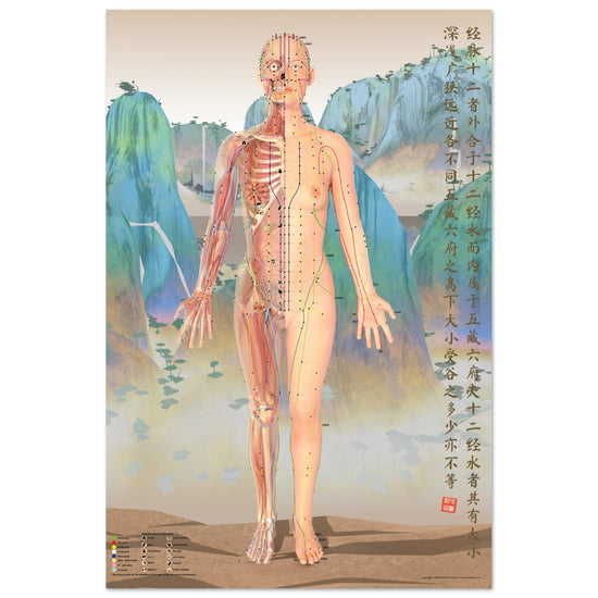 Acupuncture chart poster Chinese Mountains Female Front LBe