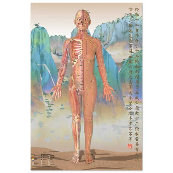 Acupuncture chart poster Chinese Mountains Female Front LBr