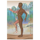 Acupuncture chart poster Chinese Mountains Female Side DBr