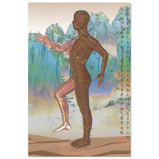 Acupuncture chart poster Chinese Mountains Female Side DBr