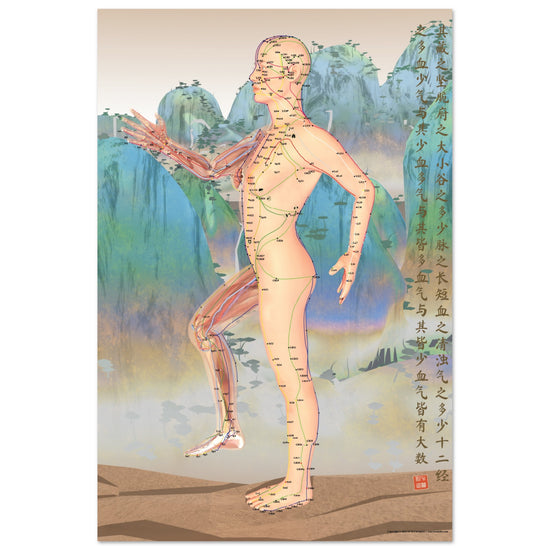 Acupuncture chart poster Chinese Mountains Female Side LBe