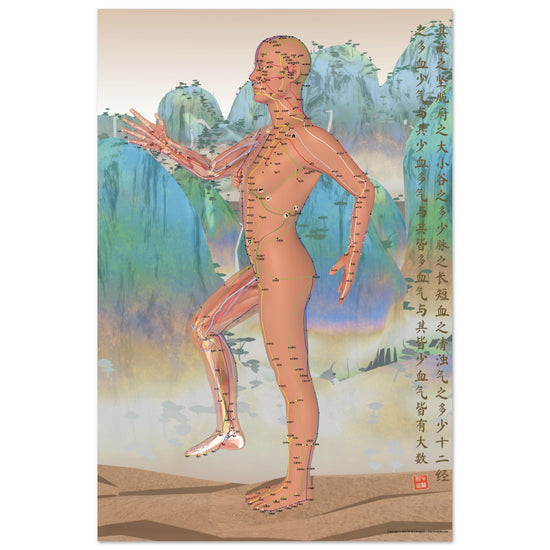 Acupuncture chart poster Chinese Mountains Female Side LBr