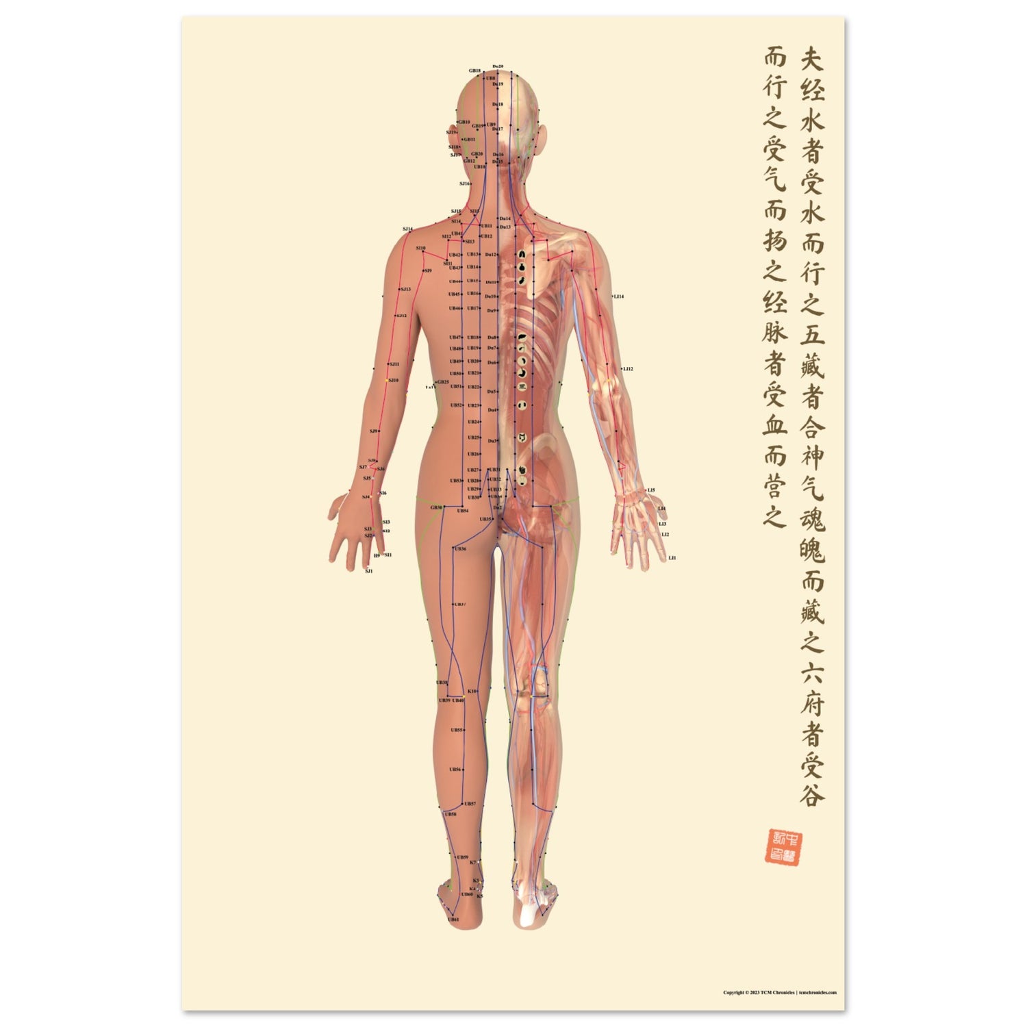 a2a7e112-3e56-4dbe-96cf-e9c2924fda66