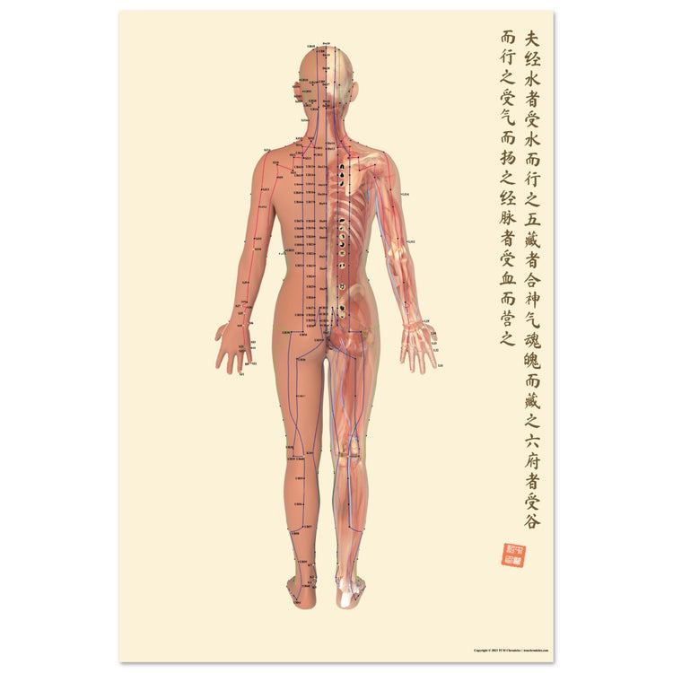 a2a7e112-3e56-4dbe-96cf-e9c2924fda66