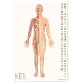 ddf529b9-ab3b-43a4-a7ad-eb85d2682e1b